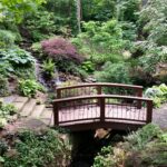 botanical garden
