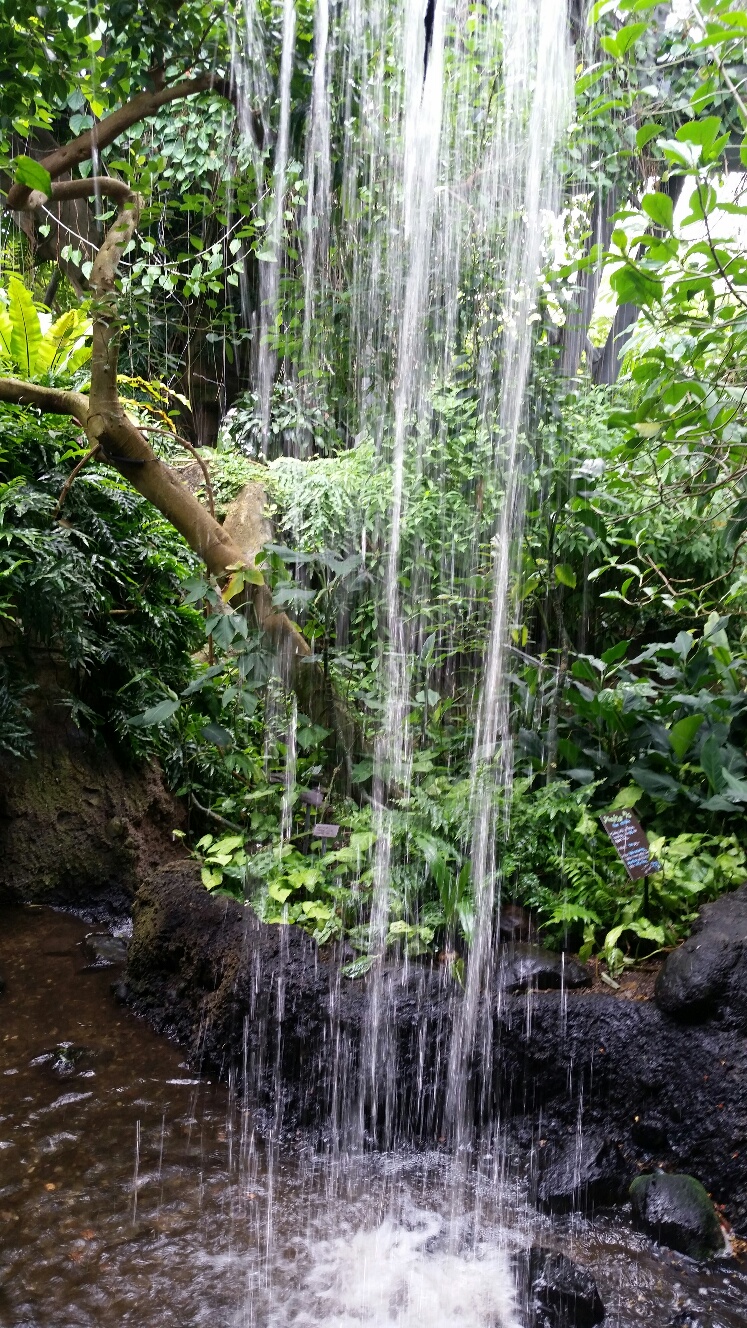 botanical garden waterfall