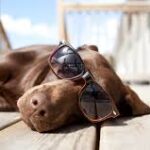 Waiting for Summer