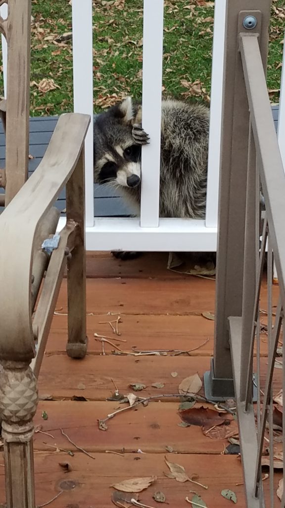 someone watching me